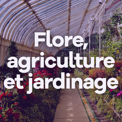 Image Flore, agriculture et jardinage